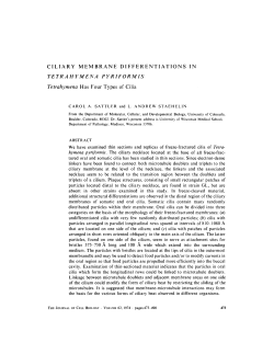 TETRAHYMENA PYRIFORMIS Tetrahymena Has Four Types of Cilia