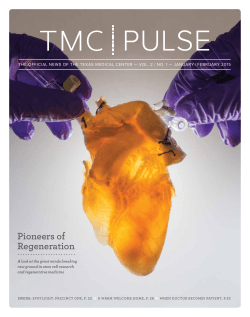 Pioneers of Regeneration