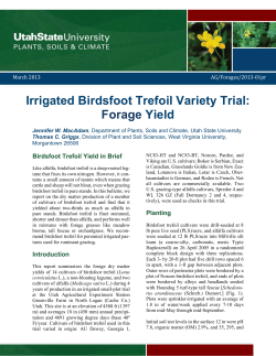 Irrigated Birdsfoot Trefoil Variety Trial: Forage Yield