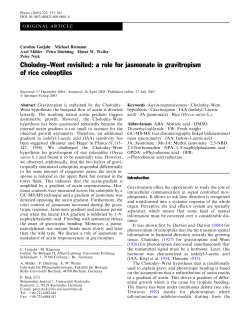 Cholodny&ndash;Went revisited: a role for jasmonate in gravitropism