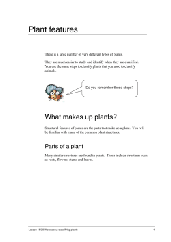 Plant features - NSW Department of Education