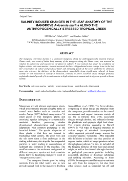 Salinity Induced Changes in the Leaf Anatomy of the Mangrove