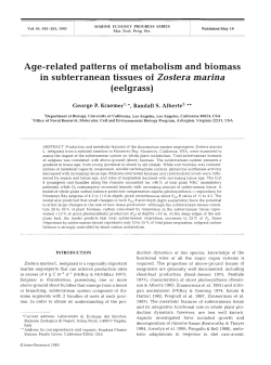 Age-related patterns of metabolism and biomass in