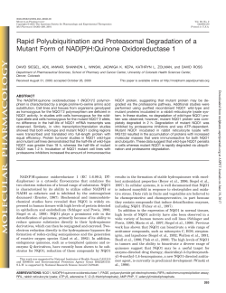 Rapid Polyubiquitination and Proteasomal Degradation of a Mutant