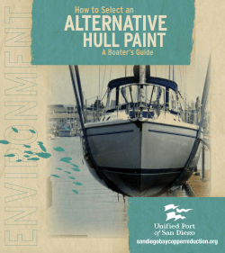 How to Select an Alternative Hull Paint