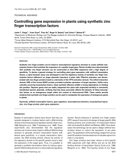 Controlling gene expression in plants using synthetic zinc finger