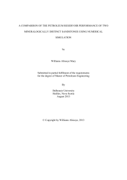A COMPARISON OF THE PETROLEUM RESERVOIR