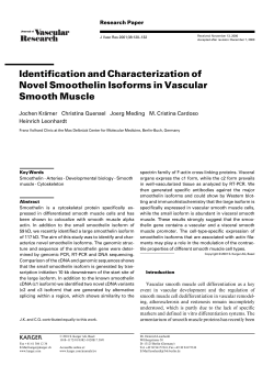 Identification and Characterization of Novel