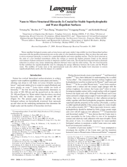 Nano to Micro Structural Hierarchy Is Crucial for Stable