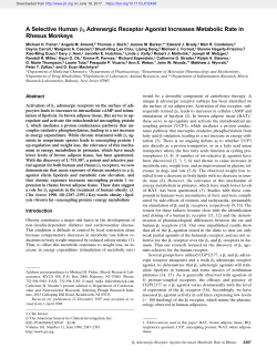 A Selective Human 3 Adrenergic Receptor Agonist Increases