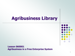Agbus a Free Enterprise system
