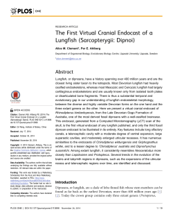 The First Virtual Cranial Endocast of a Lungfish