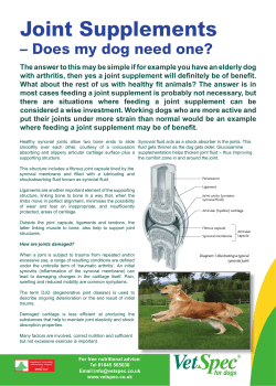 Joint Supplements