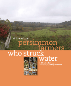 The Persimmon Farmers Who Struck Water