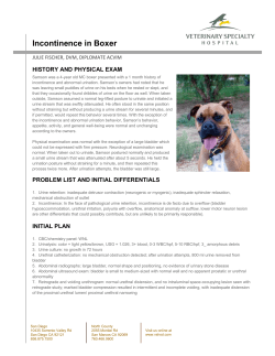 Incontinence in Boxer - Veterinary Specialty Hospital