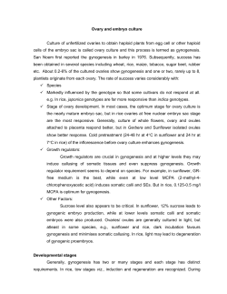 Ovary and embryo culture - Development of e