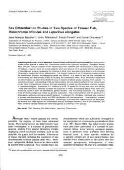 Sex Determination Studies in Two Species of Teleost Fish,