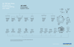 EVOLT E-410 Underwater System Chart