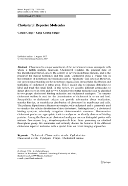 Cholesterol Reporter Molecules