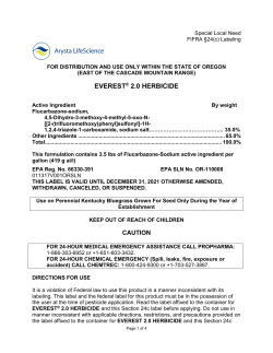 everest&reg; 2.0 herbicide