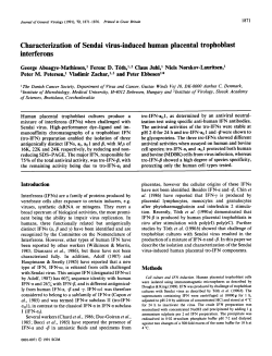 Characterization of Sendai virus