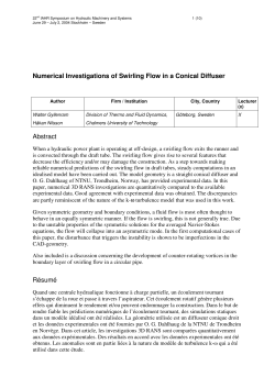 Numerical Investigations of Swirling Flow in a Conical Diffuser