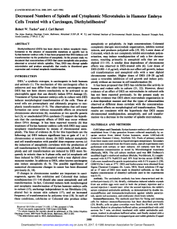 Decreased Numbers of Spindle and Cytoplasmic