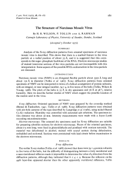 The Structure of Narcissus Mosaic Virus