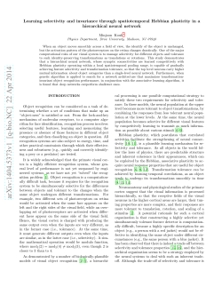 Learning selectivity and invariance through spatiotemporal Hebbian