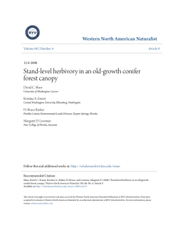 Stand-level herbivory in an old-growth conifer forest canopy