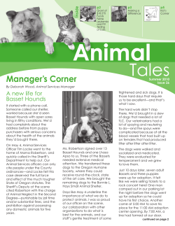 Animal Tales, Spring/Summer 2010