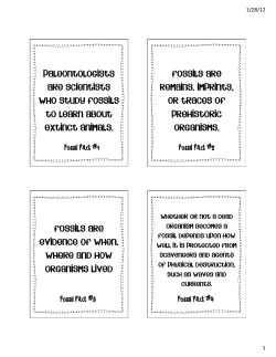 Fossil Scavenger Hunt.pptx