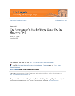 The Remnants of a Shard of Hope Tainted by the Shadow of Evil