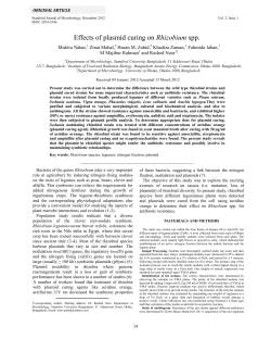 Effects of plasmid curing on Rhizobium spp. assay