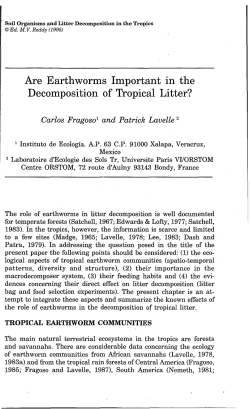 Are earthworms important in the decomposition of tropical litter ?
