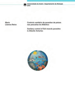 Diapositiva 1