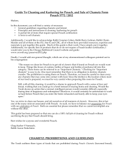 Guide To Cleaning and Kashering for Pesach, and Sale of Chametz