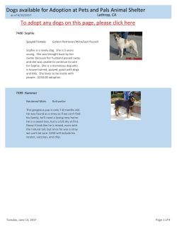 Dogs available for Adoption at Pets and Pals Animal Shelter To