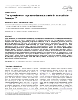 The cytoskeleton in plasmodesmata: a role in intercellular transport?