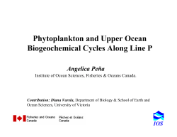 Phytoplankton and Upper Ocean Biogeochemical Cycles Along Line P