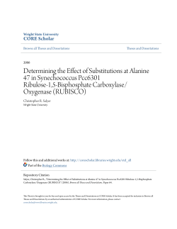 Determining the Effect of Substitutions at Alanine 47