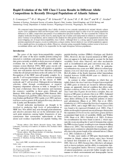 Rapid Evolution of the MH Class I Locus Results