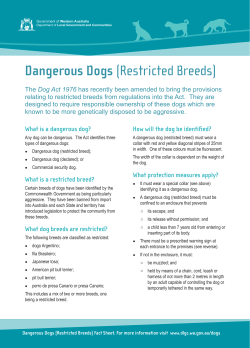 Dangerous Dogs ( Restricted Breeds )