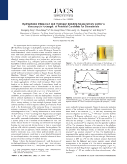 Hydrophobic Interaction and Hydrogen Bonding Cooperatively