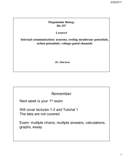 Lectures 4 - Columbia University