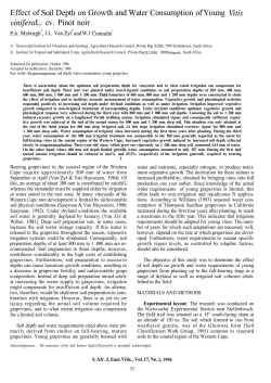 Effect of Soil Depth on Growth and Water Consumption of Young