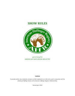 show rules - American Haflinger Registry