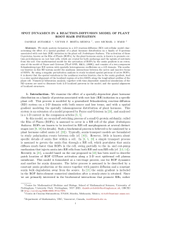 Spot dynamics in a reaction-diffusion model of plant root hair initiation