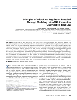 Principles of microRNA Regulation Revealed Through