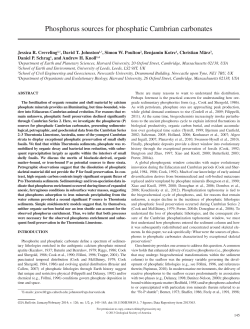 Phosphorus sources for phosphatic Cambrian carbonates